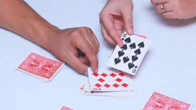 Kartová hra 66, šnapser alebo šnapsel