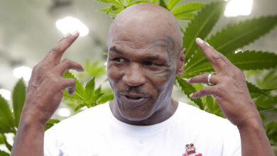 Úspešný biznis - Mike Tyson, Zdroj: vice.com